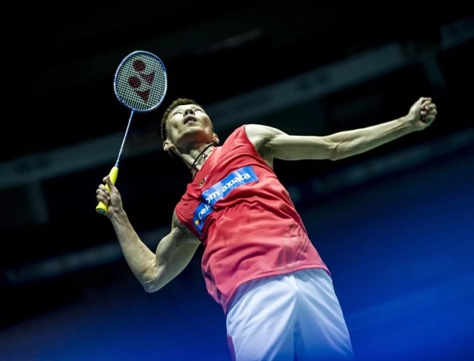 广泛质疑带 广泛质疑带