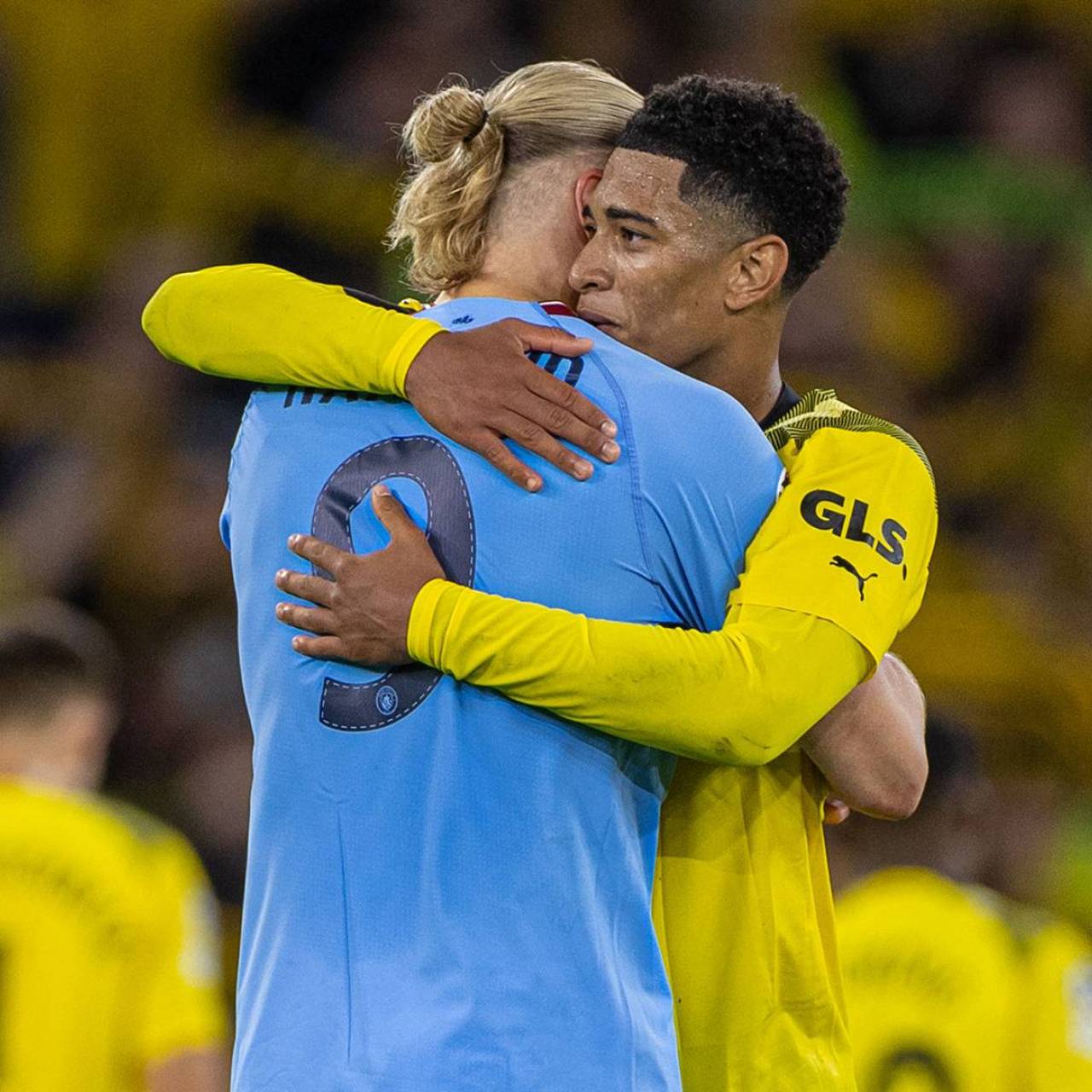 迈凯伦车队 迈凯伦车队